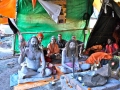 tente-mahendra-1