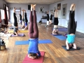 sirshasana-collectif